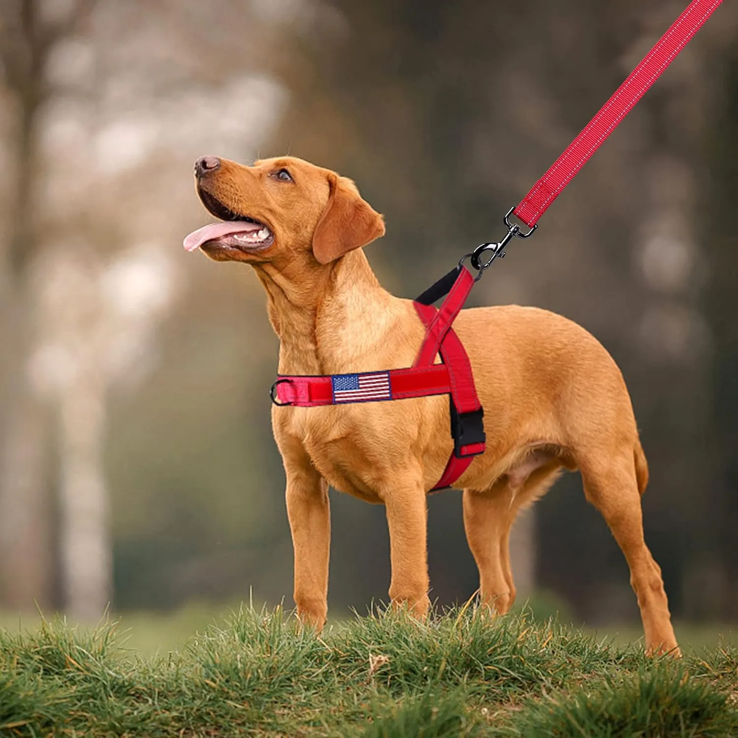 Annchwool No Pull Dog Harness with Padded Handle 5 Ft Leash,Reflective Strip Escape Proof and Quick Fit to Adjust Dog Harness,Easy for Training Walking for Small & Medium and Large Dogs(Red-Set,XL)