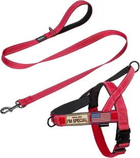 Annchwool No Pull Dog Harness with Padded Handle 5 Ft Leash,Reflective Strip Escape Proof and Quick Fit to Adjust Dog Harness,Easy for Training Walking for Small & Medium and Large Dogs(Red-Set,XL)
