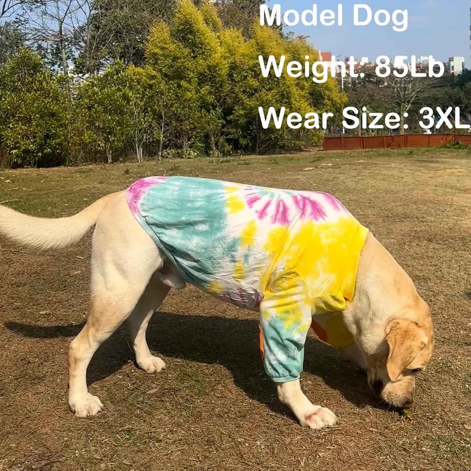 Dog Cotton Colorful Purple Yellow T-Shirts Soft and Stretchy Dog Shirt Pajamas Pets Clothes for Extra Large Dogs(2XL Purple)