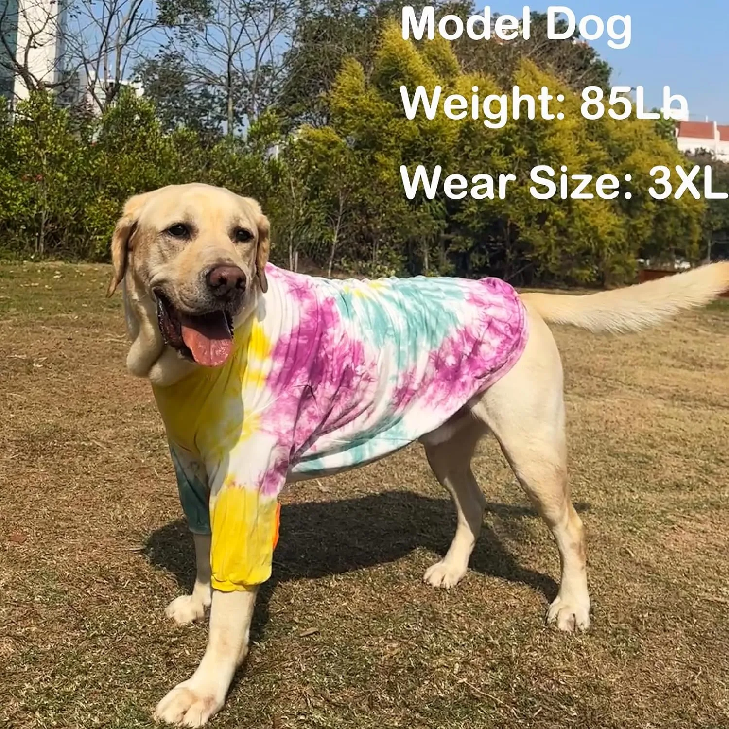 Dog Cotton Colorful Purple Yellow T-Shirts Soft and Stretchy Dog Shirt Pajamas Pets Clothes for Extra Large Dogs(2XL Purple)