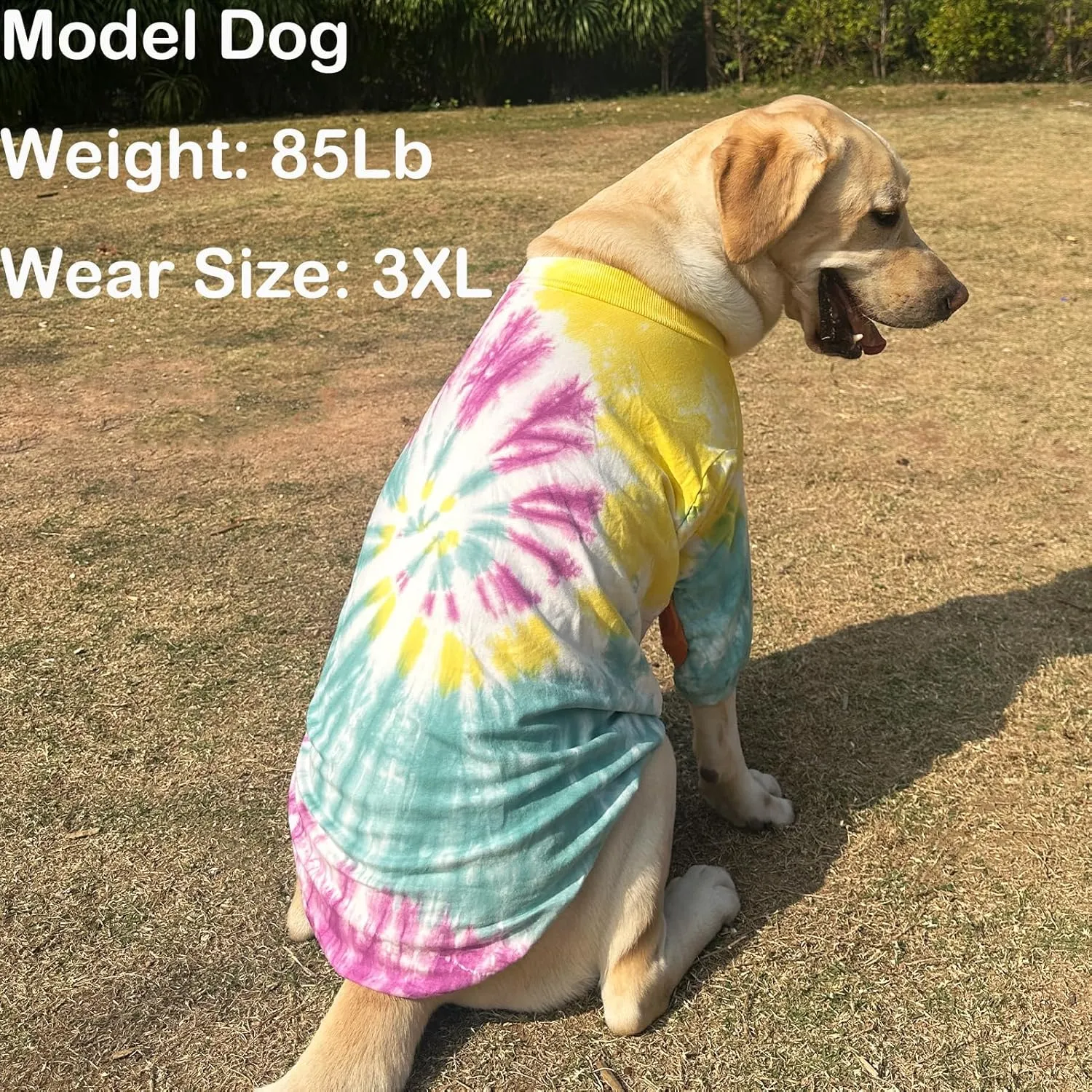 Dog Cotton Colorful Purple Yellow T-Shirts Soft and Stretchy Dog Shirt Pajamas Pets Clothes for Extra Large Dogs(2XL Purple)
