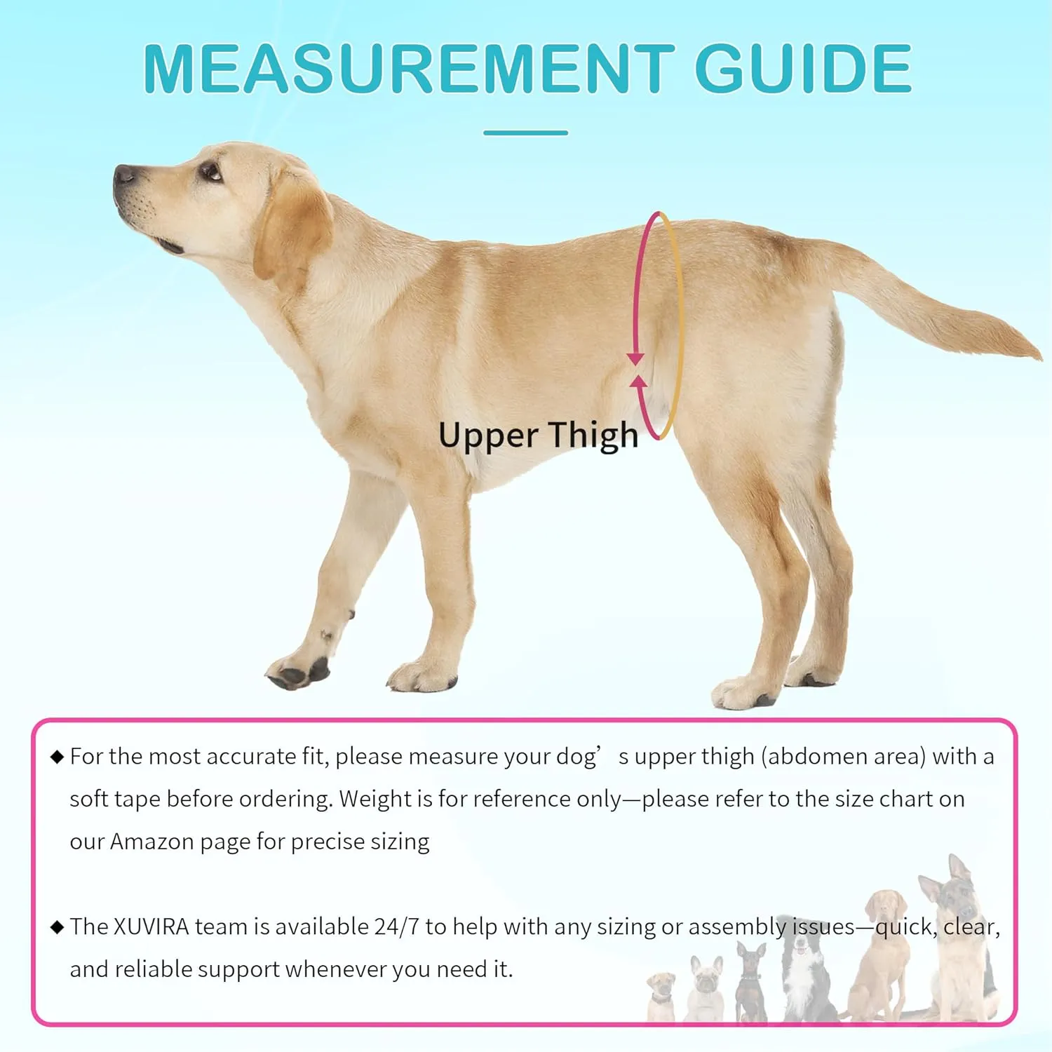 Dog Lift Harness for Large Dogs - for Senior Dogs and Pets with Weak Legs, Upgraded Adjustable Hind Leg Sling Set, Help Dog Go Up and Down The Stairs, L