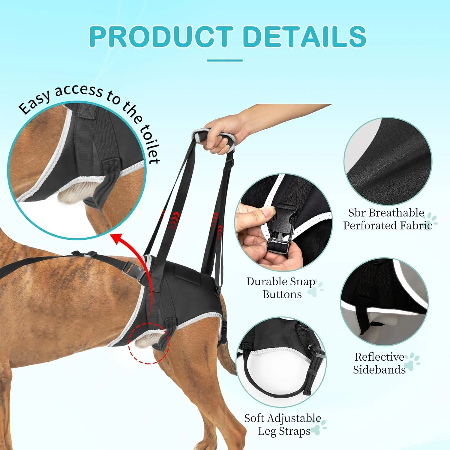 Dog Lift Harness for Large Dogs - for Senior Dogs and Pets with Weak Legs, Upgraded Adjustable Hind Leg Sling Set, Help Dog Go Up and Down The Stairs, L