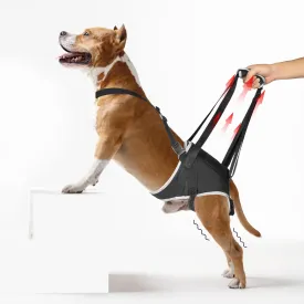 Dog Lift Harness for Large Dogs - for Senior Dogs and Pets with Weak Legs, Upgraded Adjustable Hind Leg Sling Set, Help Dog Go Up and Down The Stairs, L