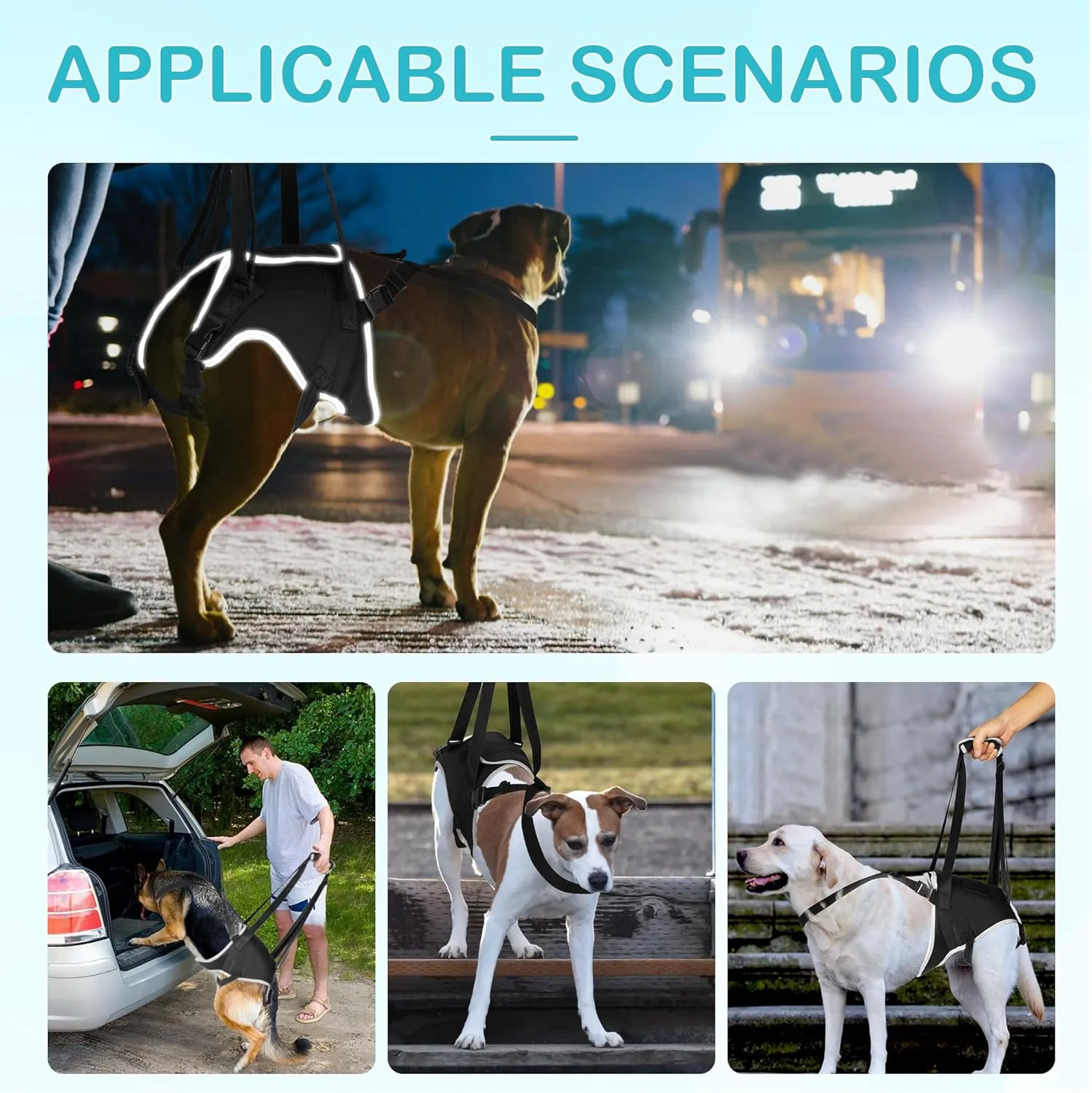Dog Lift Harness for Large Dogs - for Senior Dogs and Pets with Weak Legs, Upgraded Adjustable Hind Leg Sling Set, Help Dog Go Up and Down The Stairs, L