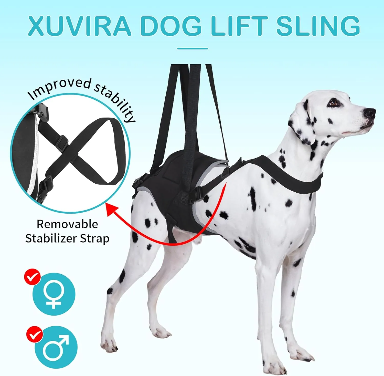 Dog Lift Harness for Large Dogs - for Senior Dogs and Pets with Weak Legs, Upgraded Adjustable Hind Leg Sling Set, Help Dog Go Up and Down The Stairs, L