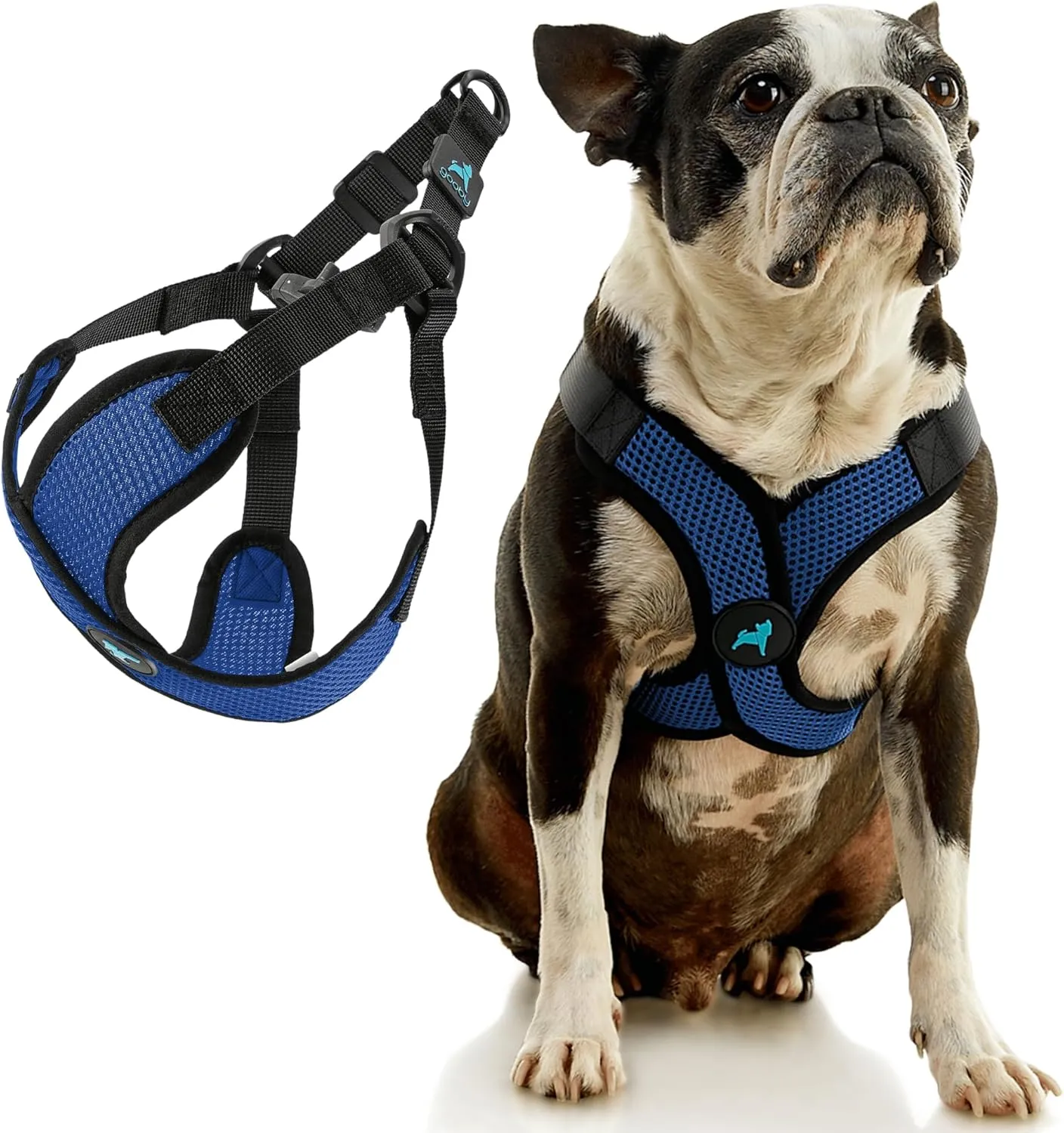 Gooby Comfort X Step in Lite Dog Harness - Choke Free, Escape Free with Light Breathable Mesh - Step in Dog Harness for Small and Medium Dogs - Quick Release Buckle, Metal D-Rings - Blue, X-Small