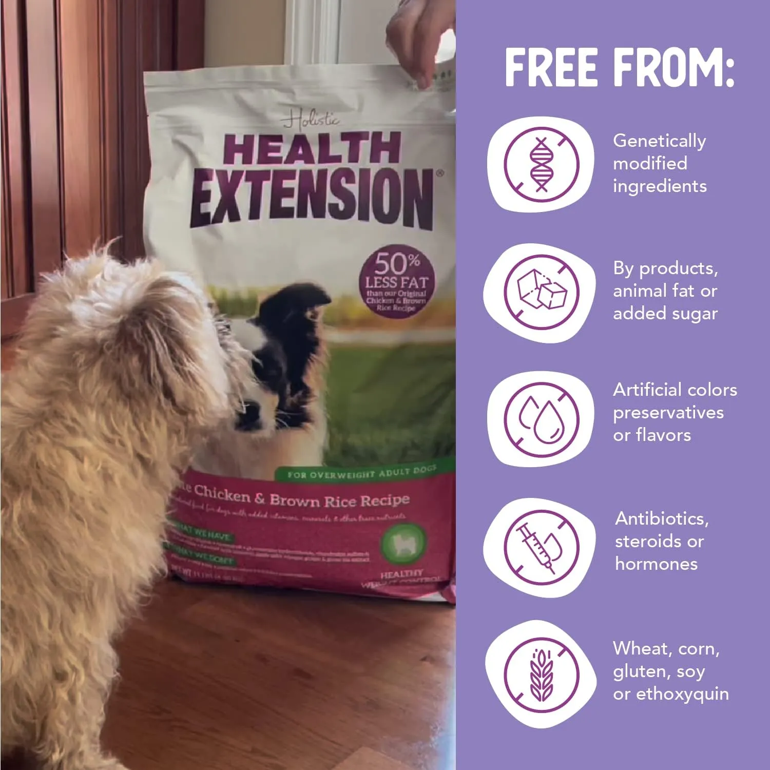 Health Extension Lite Chicken & Brown Rice Dry Dog Food (1 lb / 0.45 kg) - Low-Fat Formula with Glucosamine, Probiotics & Omega 3 for Overweight, Spayed, Neutered, or Senior Dogs (Pack of 2)
