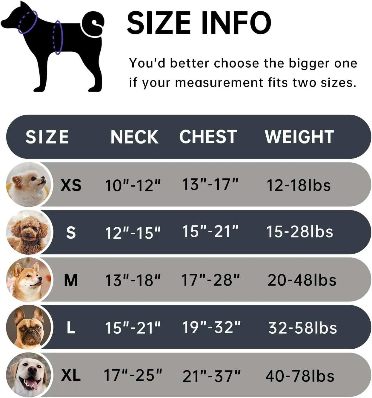 IVY&LANE No Pull Dog Harness for Medium Dogs, Dog Vest Harness with Leash, Safety Belt and Storage Strap, Fully Adjustable Harness, 360 Reflective Strip, Soft Handle (Black, M)