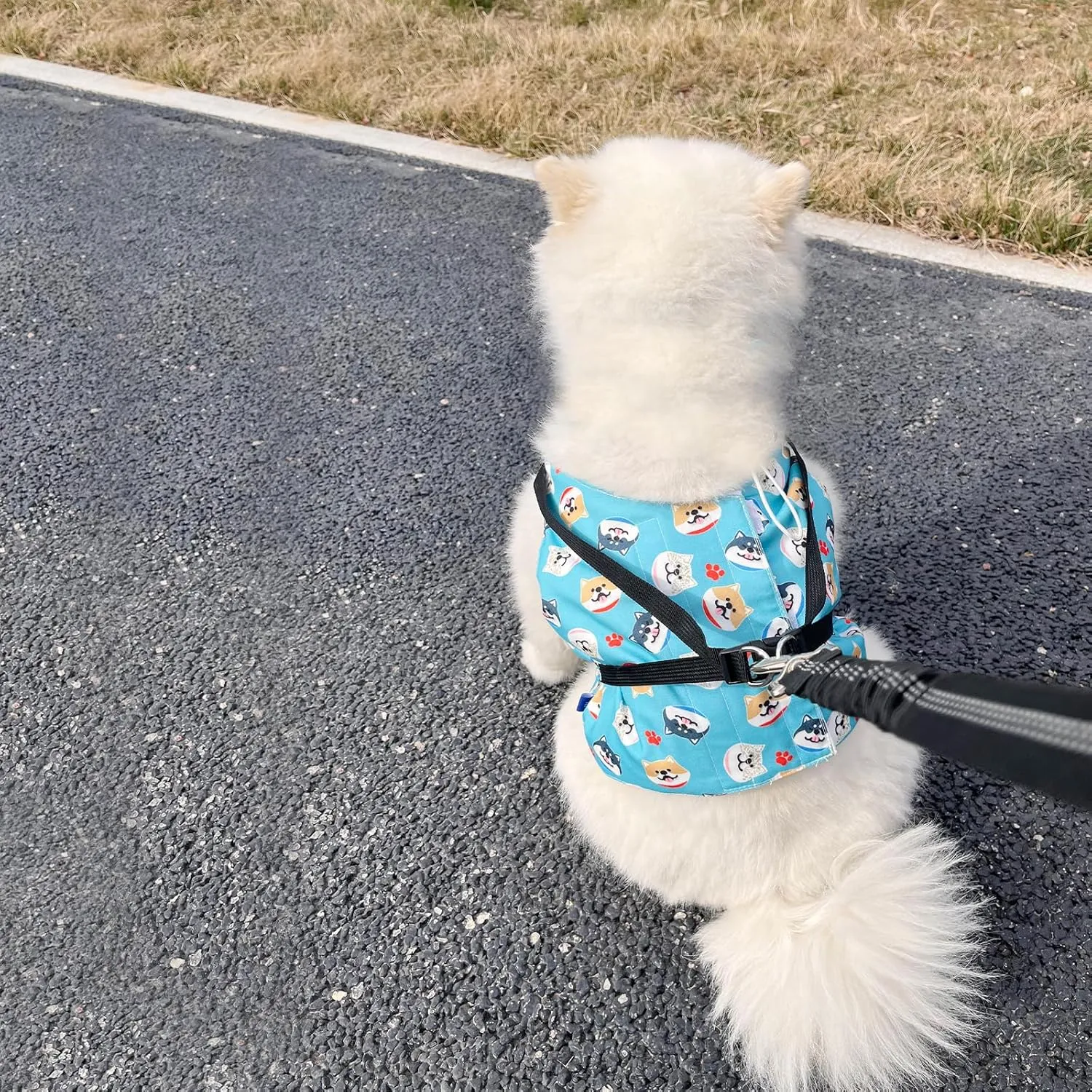 KUDES Dog Cooling Vest with Recyclable Ice Packs, Pet Adjustable Ice Chill Out Dog Harness Jacket Cooler with D Ring for Small Medium Large Dogs Walking Indoor Outdoor Summer