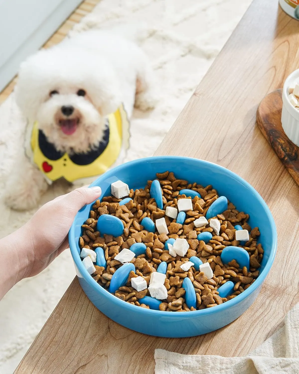 LE TAUCI PET Slow Feeder Dog Bowl Ceramic, 1.5 Cups, Blue, Non-slip Base