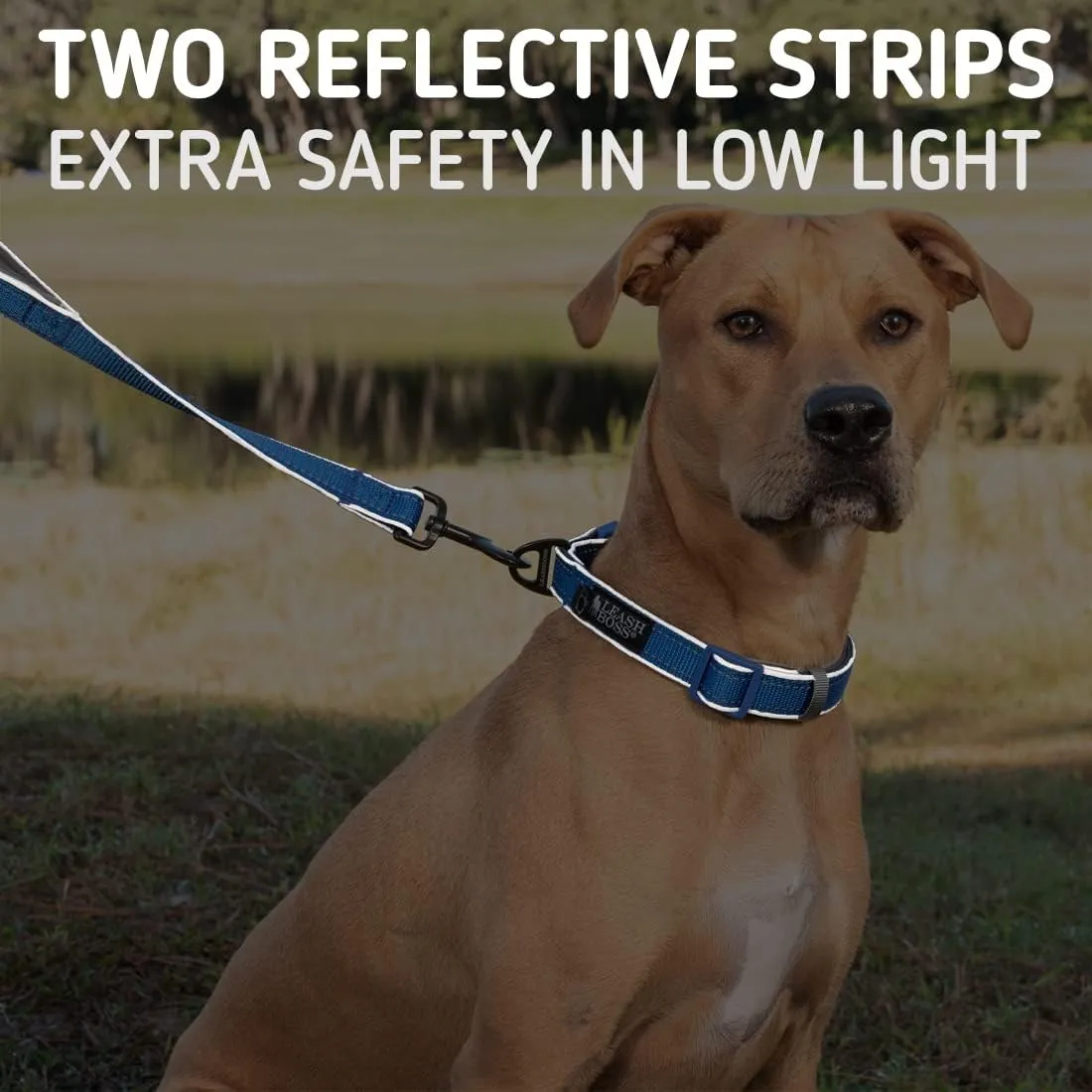 Leash Boss 6ft Ultra Comfort Double-Thick Soft Padded Handle Reflective Leash for Large and Medium Dogs, Heavy Duty for Large Breeds, Nylon for Small Dogs/Puppies