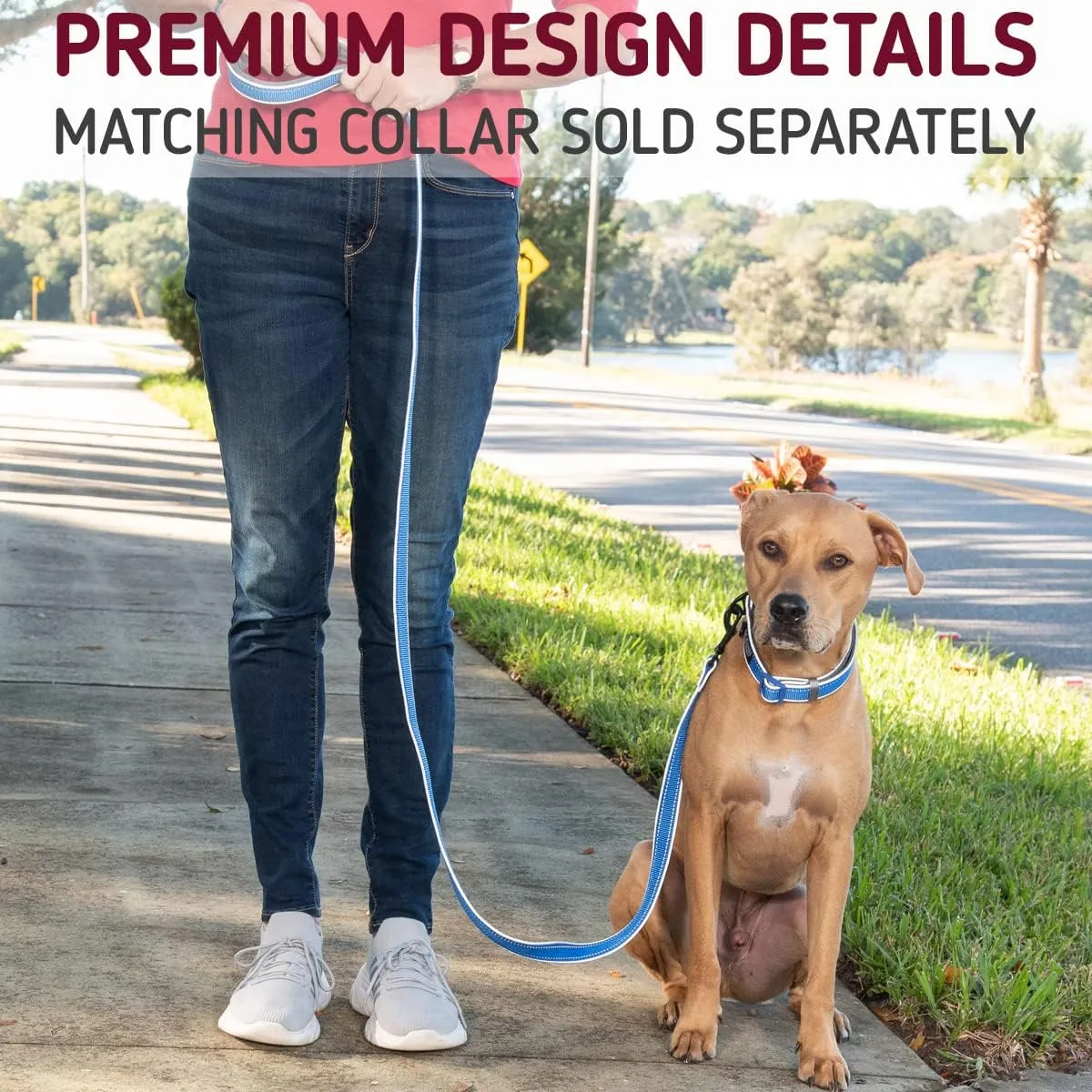 Leash Boss 6ft Ultra Comfort Double-Thick Soft Padded Handle Reflective Leash for Large and Medium Dogs, Heavy Duty for Large Breeds, Nylon for Small Dogs/Puppies