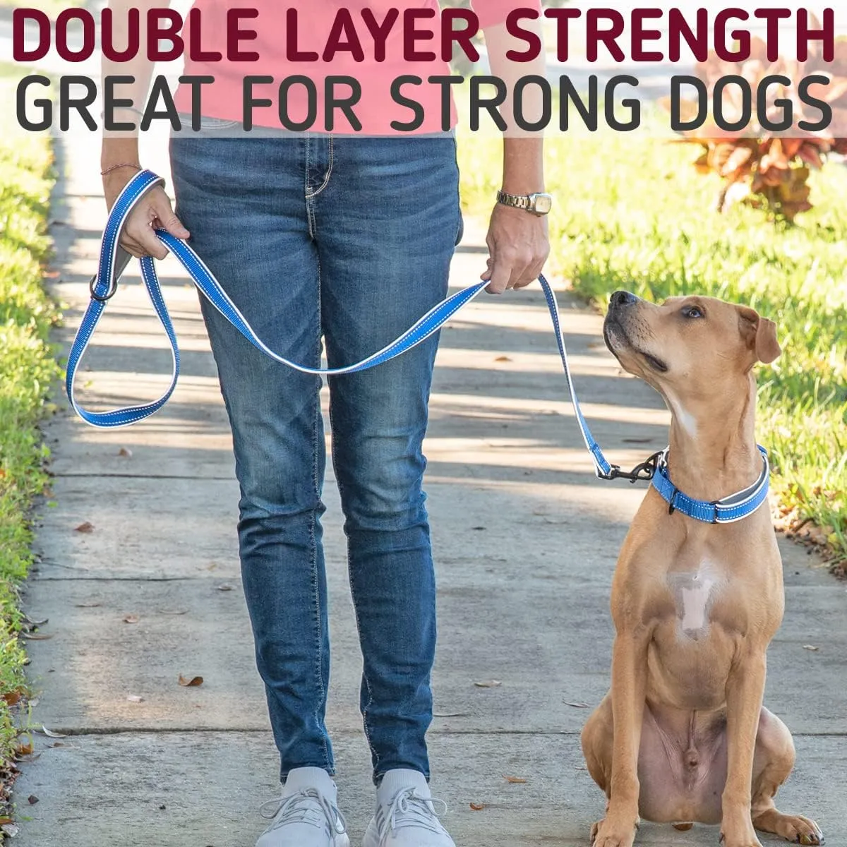 Leash Boss 6ft Ultra Comfort Double-Thick Soft Padded Handle Reflective Leash for Large and Medium Dogs, Heavy Duty for Large Breeds, Nylon for Small Dogs/Puppies