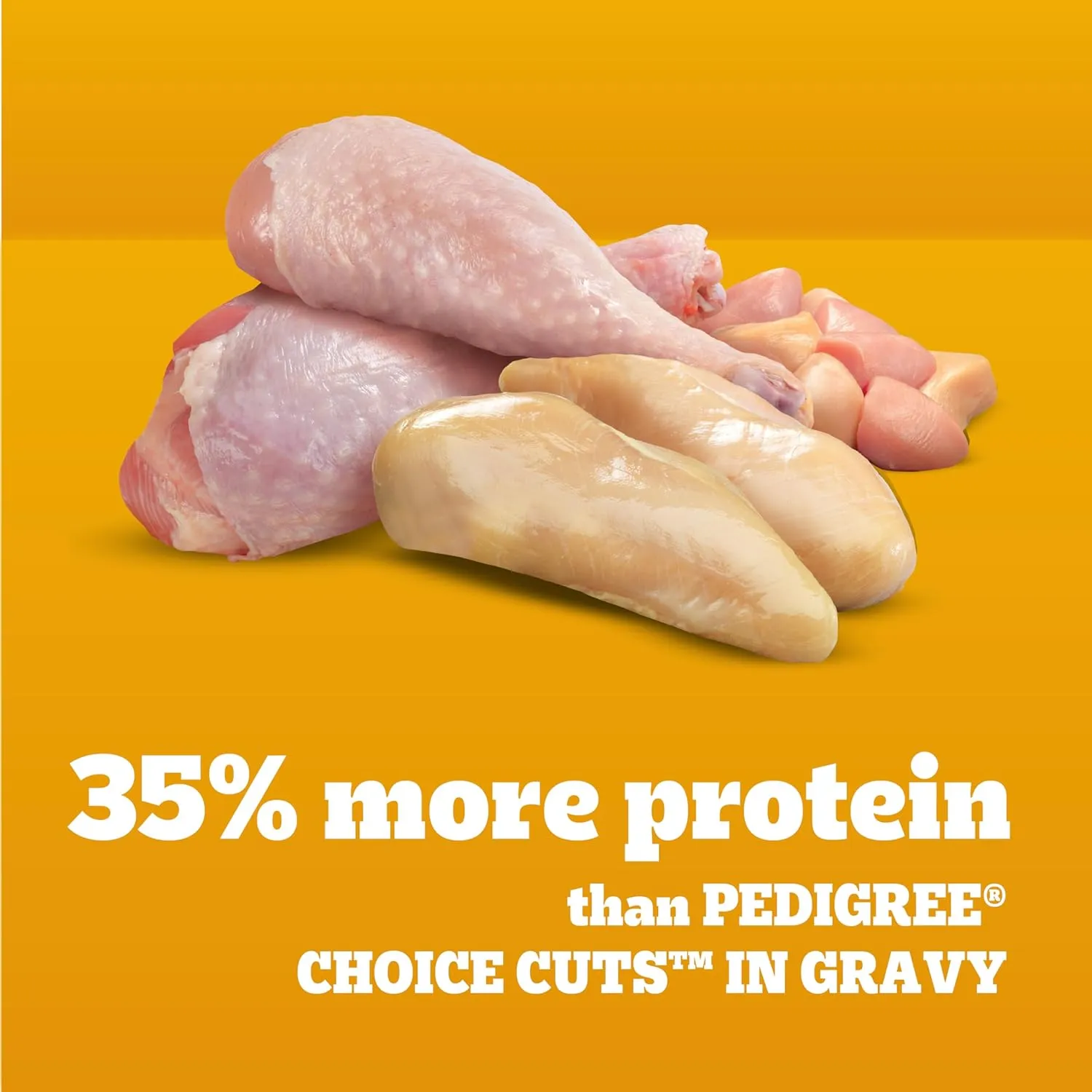 Pedigree High Protein Wet Dog Food Pouches, with Chicken and Turkey Cuts in Gravy, 3.5 oz. Pouches, 16 Count