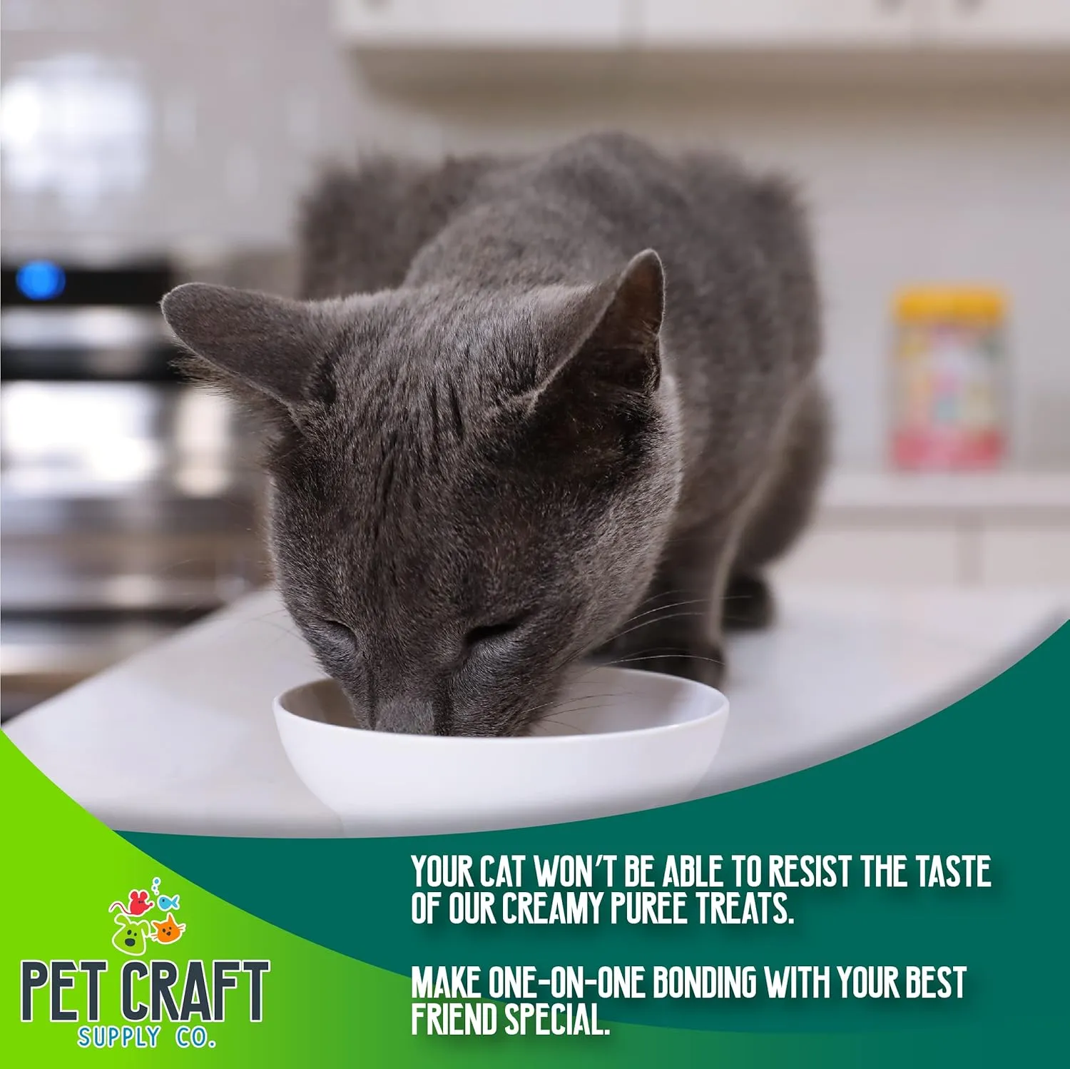 Pet Craft Supply Lickable Cat Treats Variety Pack (Salmon, Shrimp, Tuna, Chicken) 50ct Tub, Squeezable Tubes High Protein Cat Puree Wet Food or Food Topper