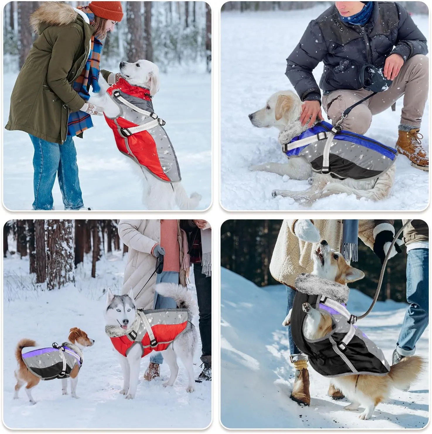 SlowTon Dog Jacket with Harness Built in, Waterproof Fleece Winter Warm Dog Coats for Small Medium Dogs, Reflective Adjustable Furry Puppy Vest Clothes for Outdoor Walking (Purple, Large)