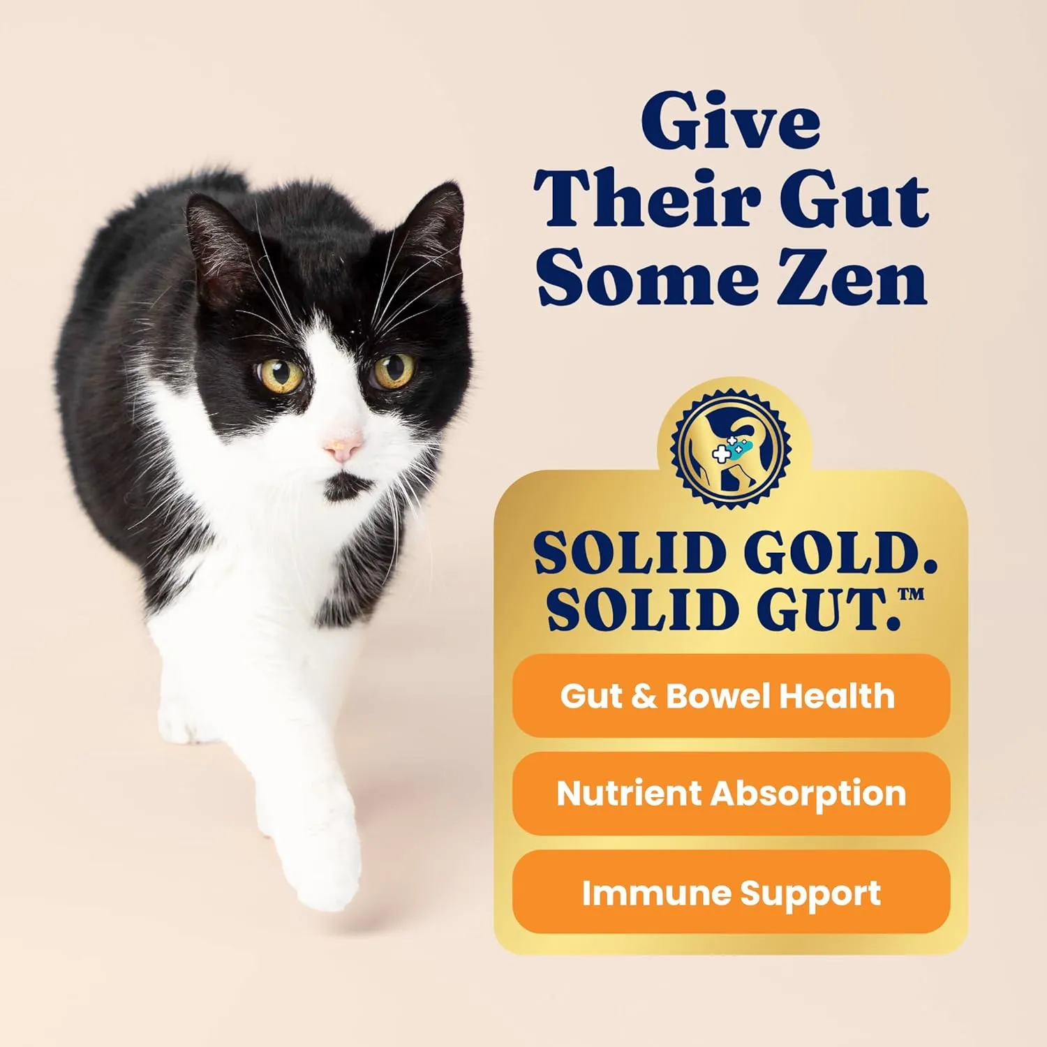 Solid Gold High Protein Dry Cat Food - Indigo Moon Made with Digestive Probiotics for Cats - Grain & Gluten Free with High Fiber & Omega 3 - Low Carb Superfood Meal - Chicken - 3lb