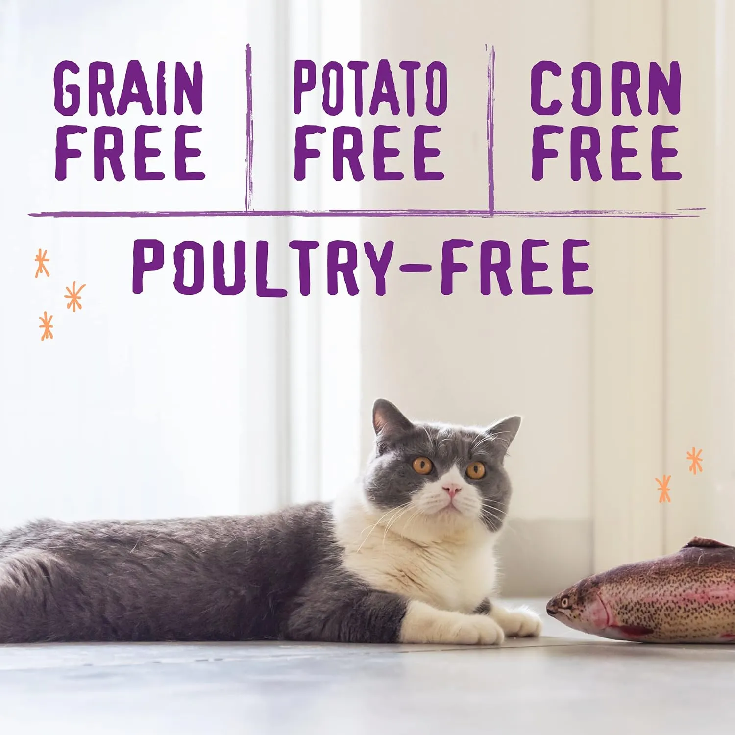Stella & Chewy's Raw Blend Premium Kibble Cat Food  Grain Free, Protein Rich Meals  Wild-Caught Fish Recipe  2.5 lb. Bag