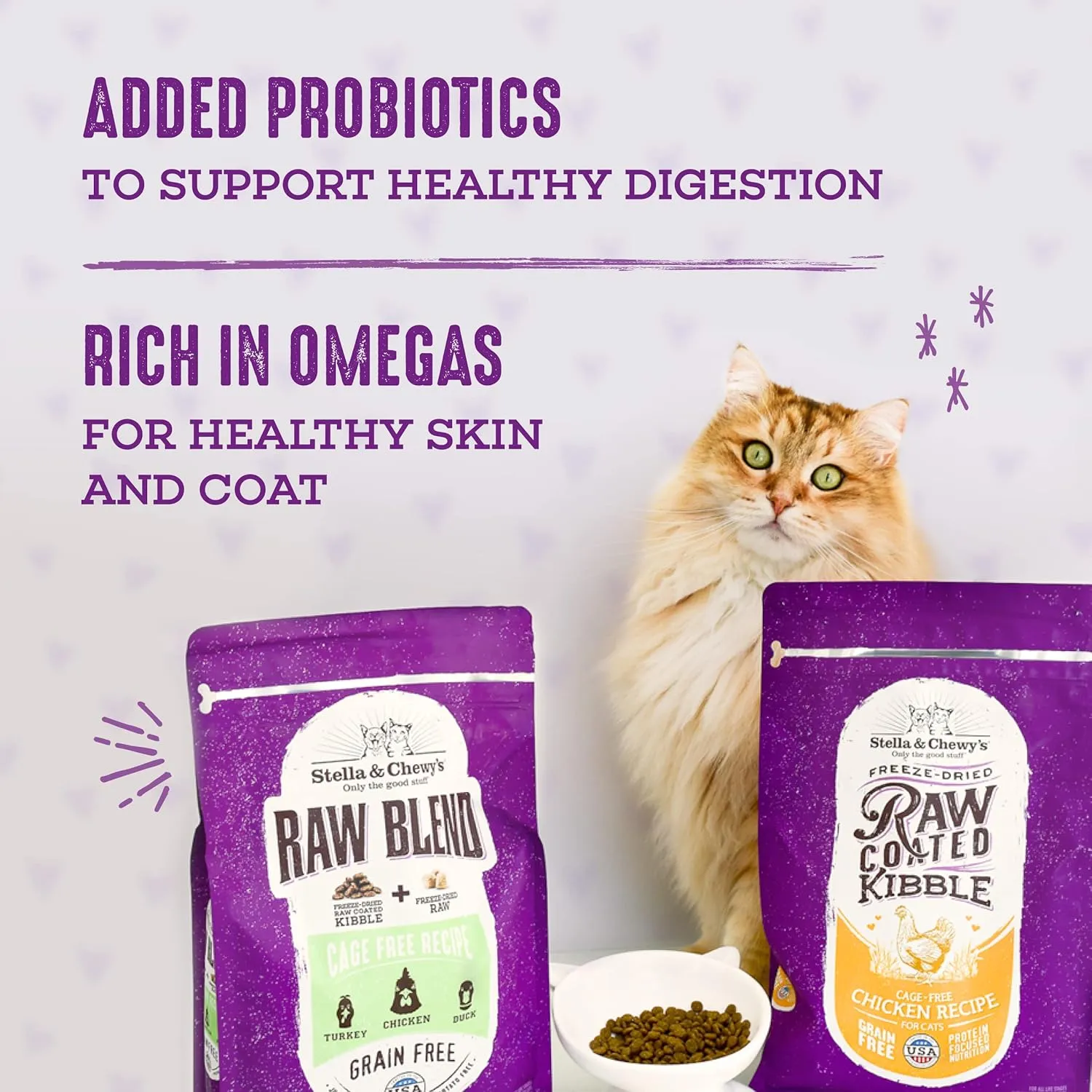 Stella & Chewy's Raw Blend Premium Kibble Cat Food  Grain Free, Protein Rich Meals  Wild-Caught Fish Recipe  2.5 lb. Bag