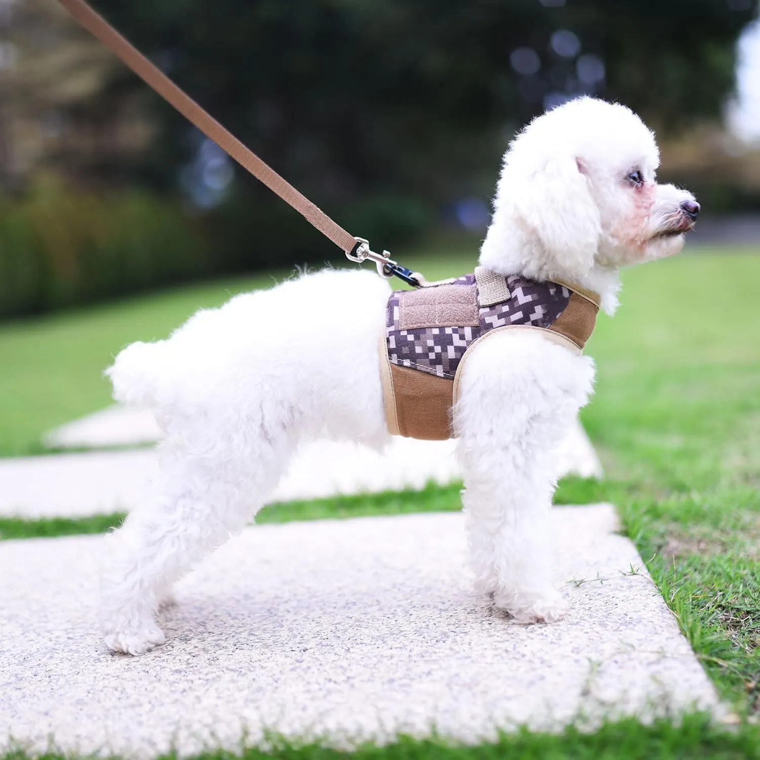 Tactical Small Dog Harness and Leash Set Small Pet Harness for Winter, Adjustable Soft Padded Dog Vest for Poodle,Pomeranian,Chihuahua,Minlature Pinscher Under 8LBS, Desert Camo